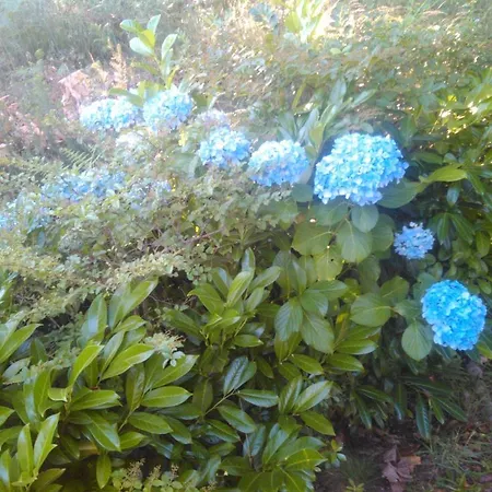 Vakantiehuis Casa Do Fiscal