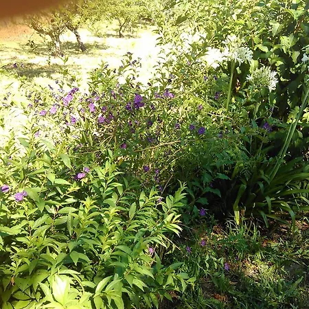 Casa vacanze Casa Do Fiscal *