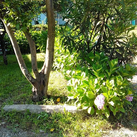 Vakantiehuis Casa Do Fiscal