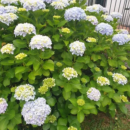 Casa vacanze Casa Do Fiscal