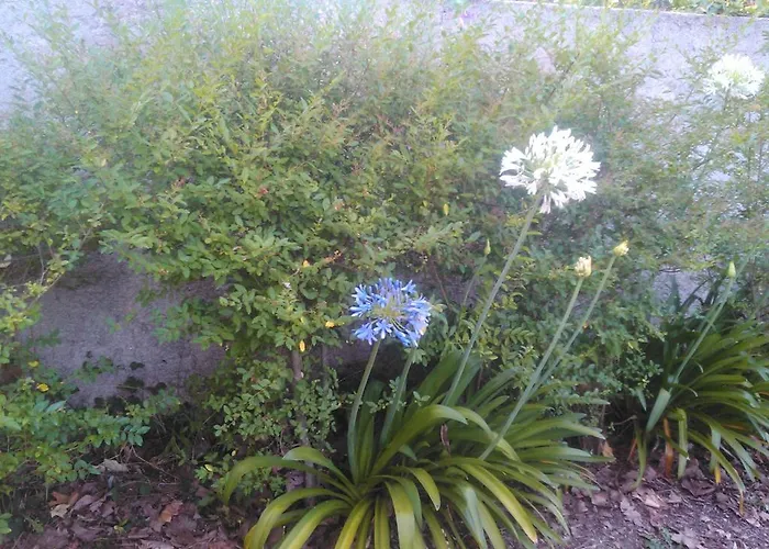 Σπίτι διακοπών Casa Do Fiscal *