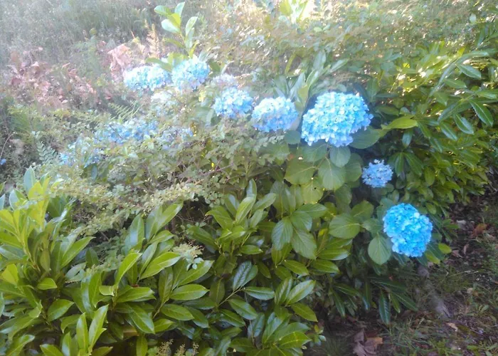 Σπίτι διακοπών Casa Do Fiscal