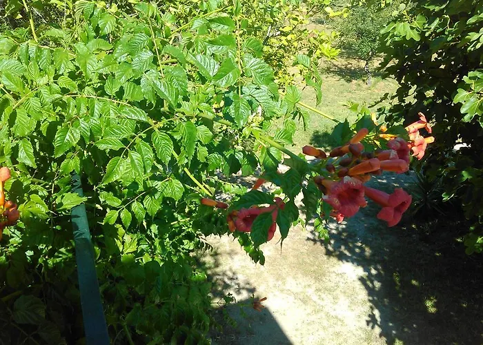 Casa Do Fiscal Barroselas