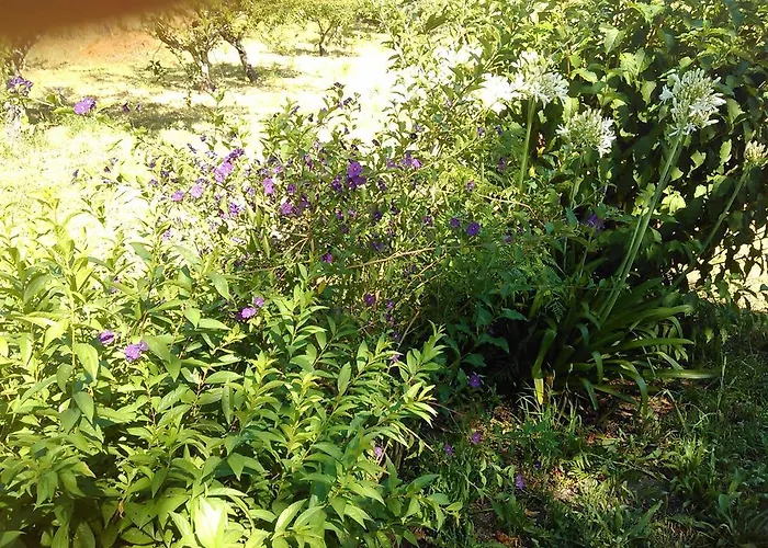 Casa vacanze Casa Do Fiscal *