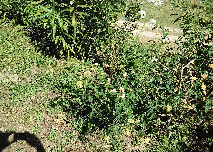 Σπίτι διακοπών Casa Do Fiscal