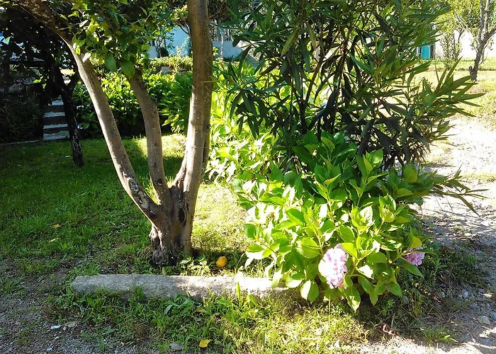 Casa vacanze Casa Do Fiscal