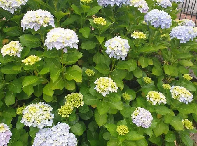 Casa vacanze Casa Do Fiscal